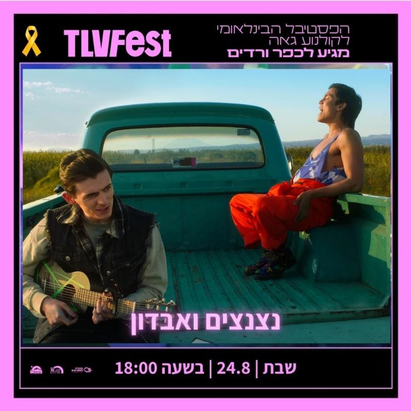 נצנצים ואבדון 24/08/24